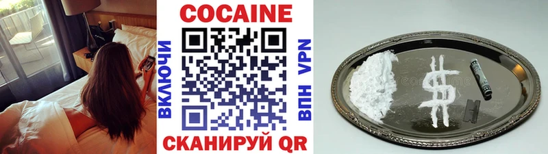 Cocaine FishScale  купить закладку  darknet как зайти  Сельцо 