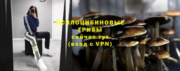 стаф Алексин