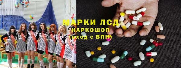 стаф Алексин
