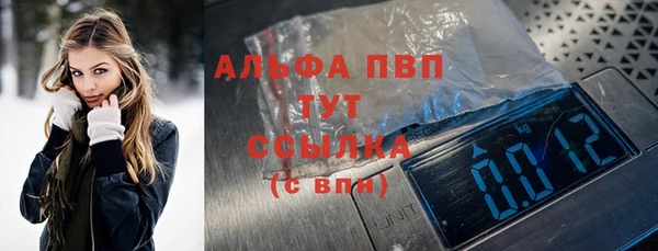 стаф Алексин