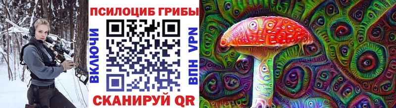 наркошоп  Сельцо  Галлюциногенные грибы прущие грибы 